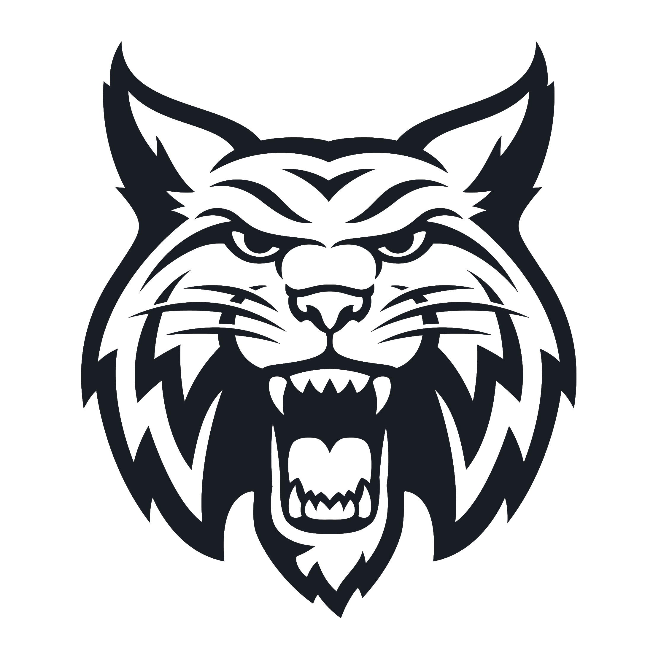 District Logo